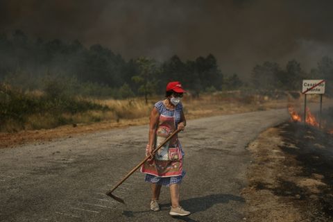 Waldbrand in Portugal