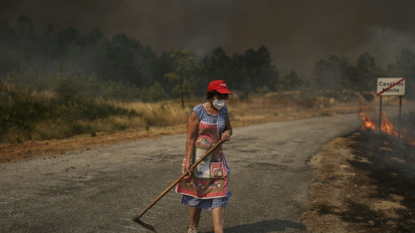 Waldbrand in Portugal