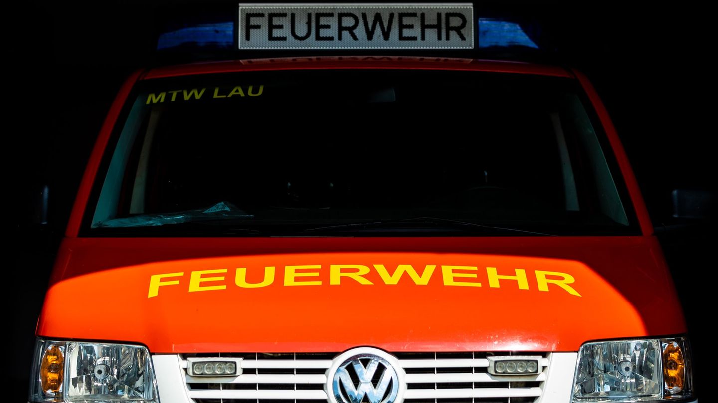 Tierrettung-Kater-Carlo-in-Dachrinne-in-Not