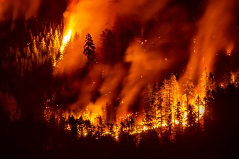 Das Feuer auf dem Mount Underwood