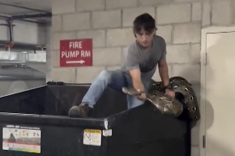 Reptilienjäger zieht Python aus Müllcontainer