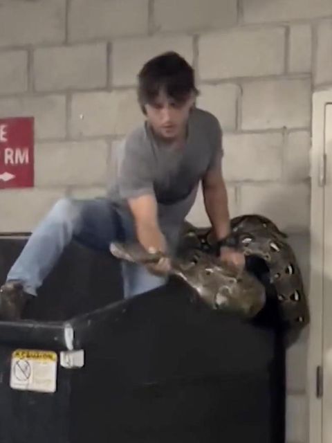 Reptilienjäger zieht Python aus Müllcontainer