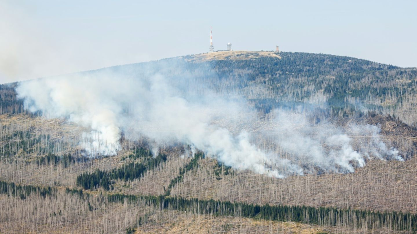 Waldbrand am Brocken im Harz im Jahr 2024