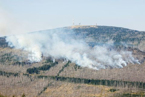 Waldbrand am Brocken im Harz im Jahr 2024