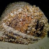 Verlorene Ladung im Bodensee