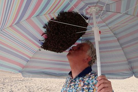 4000 Bienen haben sich unter dem bunten Sonnenschirm eingenistet, der Imker deutet einen Kuss an.