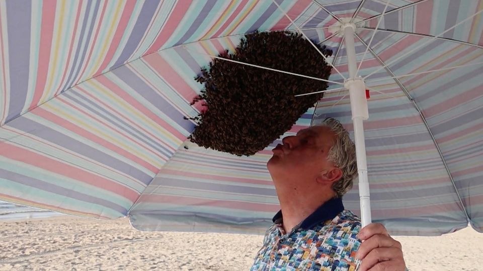 4000 Bienen haben sich unter dem bunten Sonnenschirm eingenistet, der Imker deutet einen Kuss an.