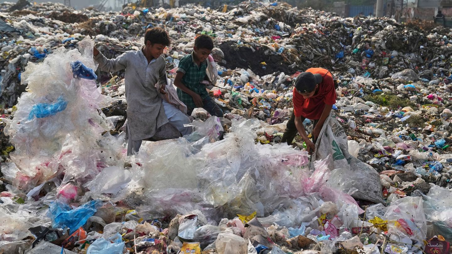 Waste and the environment: End postponed: Plastic waste negotiations continue