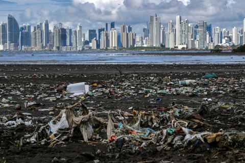 Plastikverschmutzung in Panama
