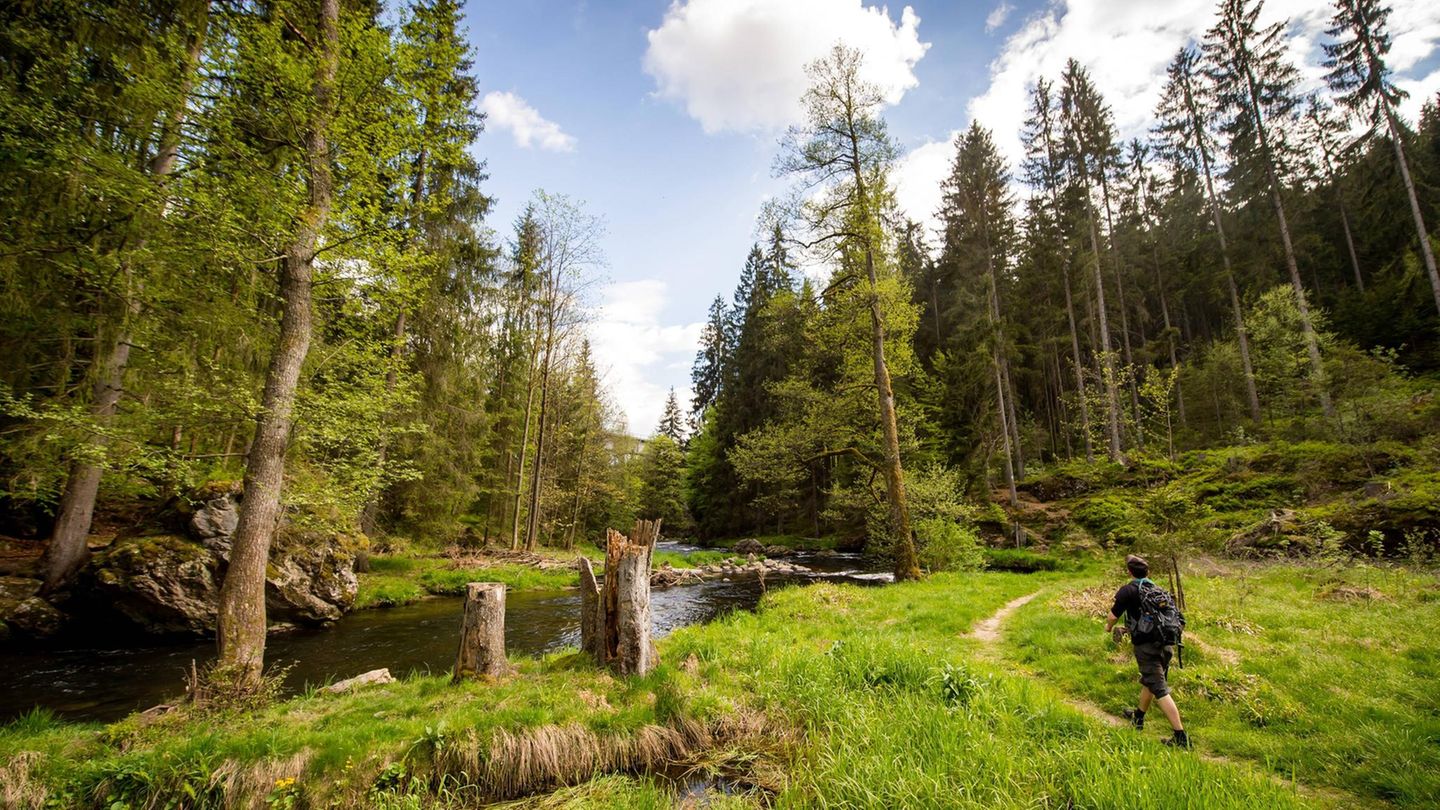 Flusswanderweg am Regen in der Nähe von Zwiesel in Bayern
