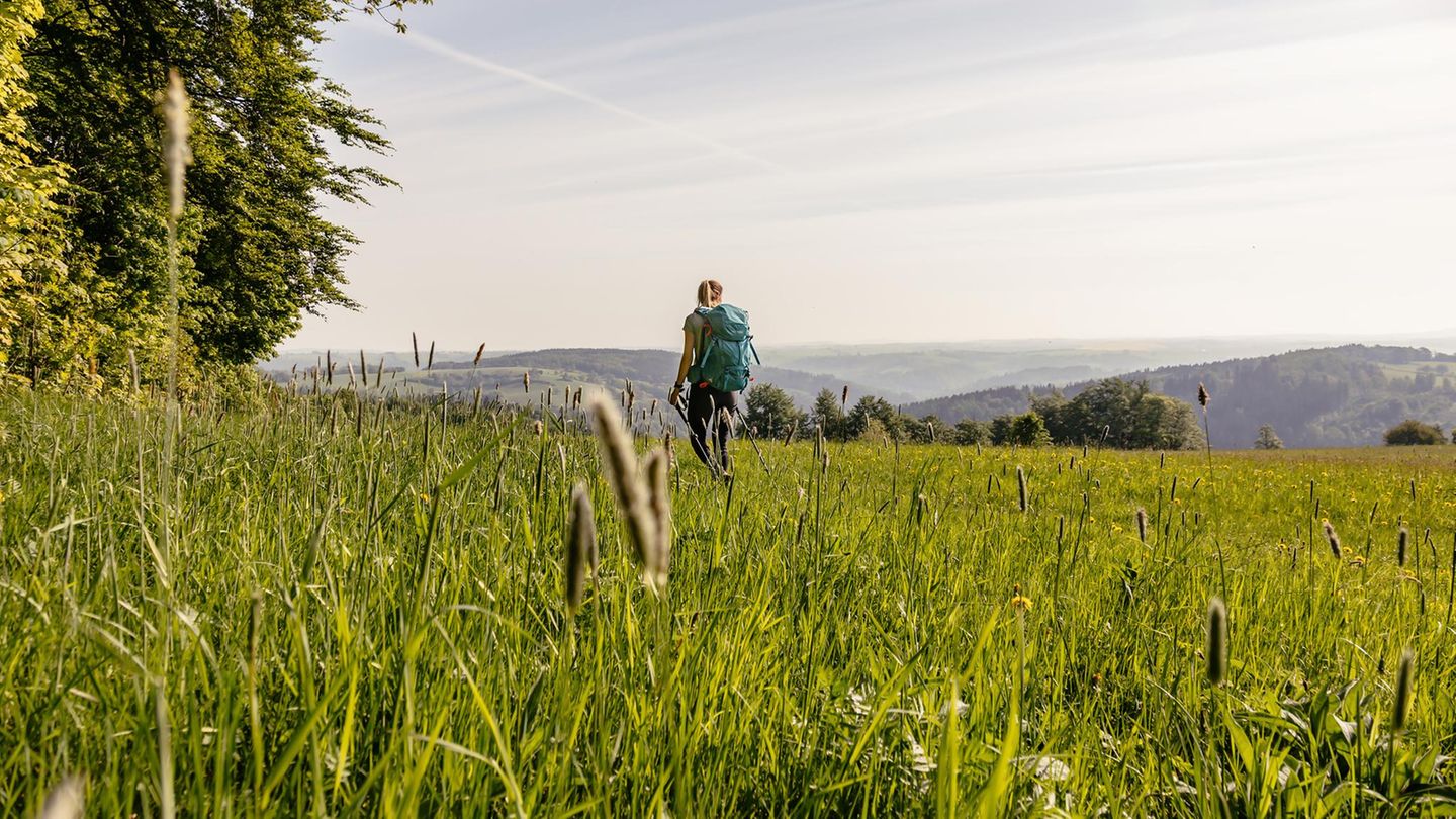 Frau in Wiese unterwegs auf dem Kammweg Erzgebirge-Vogtland