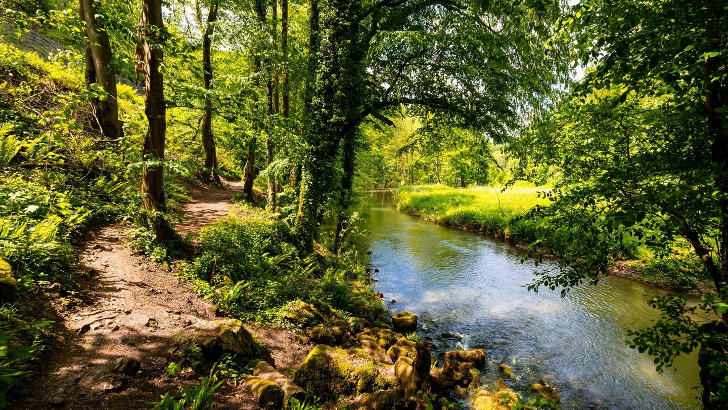 Sauerland-Waldroute