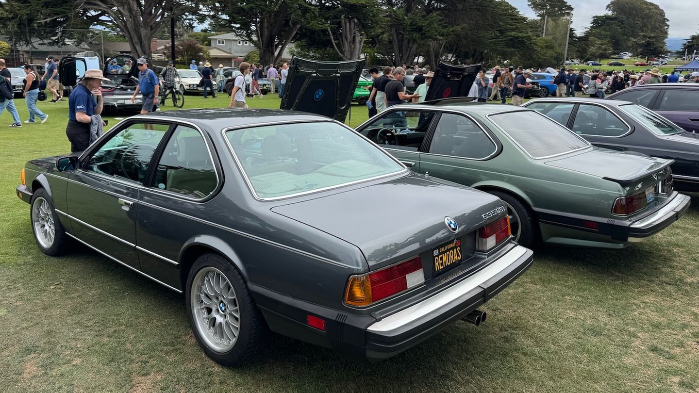 Eine Reihe von 6er BMW's auf einer Wiese