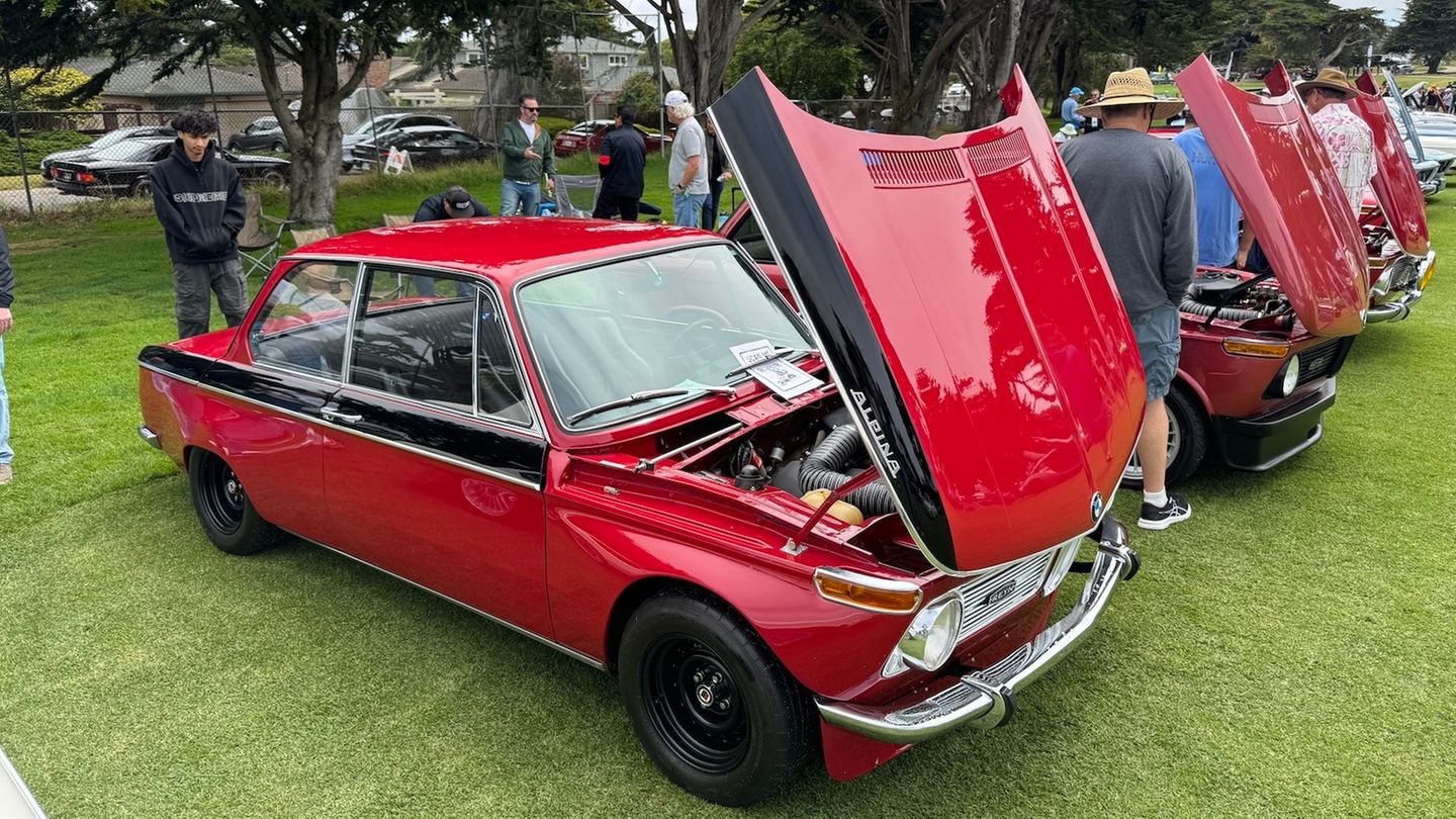 Eine Reihe von roten Alpina BMW 2002 auf einer Wiese