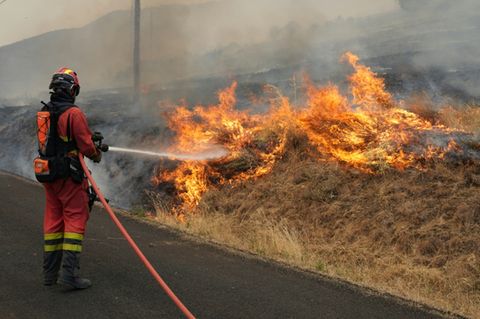 Ein Waldbrand im Nordwesten Spaniens