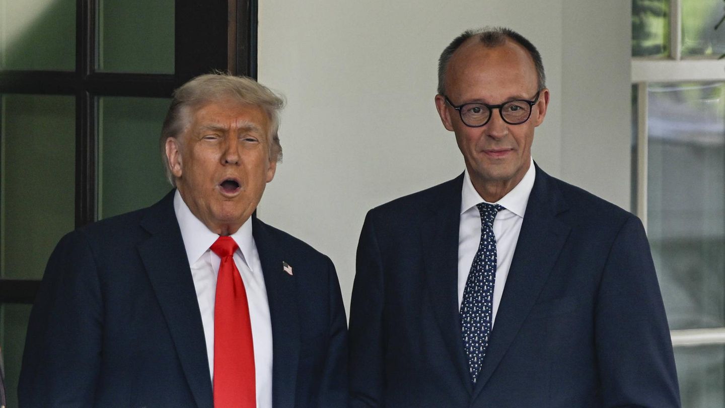 Friedrich Merz has to solve these four knots in Washington
