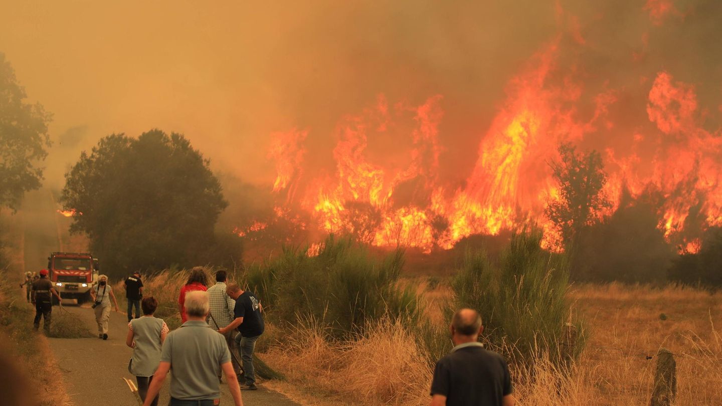 Eine Fläche doppelt so groß wie der Bodensee ist bereits abgebrannt – und die Flammen wüten weiter. Die Behörden geben an, dass die Bemühungen zur Eindämmung des Feuers andauern werden