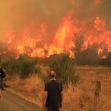 Eine Fläche doppelt so groß wie der Bodensee ist bereits abgebrannt – und die Flammen wüten weiter. Die Behörden geben an, dass die Bemühungen zur Eindämmung des Feuers andauern werden