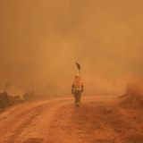 Bisher sind vier Menschen in den Flammen ums Leben gekommen. Zuletzt ein Feuerwehrmann, als ein Löschfahrzeug eine Böschung hinunterstürzte. Zuvor waren bereits drei Männer – darunter zwei freiwillige Helfer – ihren schweren Verbrennungen erlegen