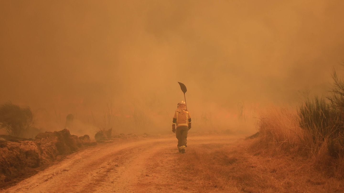 Bisher sind vier Menschen in den Flammen ums Leben gekommen. Zuletzt ein Feuerwehrmann, als ein Löschfahrzeug eine Böschung hinunterstürzte. Zuvor waren bereits drei Männer – darunter zwei freiwillige Helfer – ihren schweren Verbrennungen erlegen