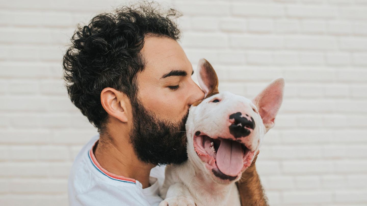 Körpermerkmale: Seitenprofil von Mann mit Hund