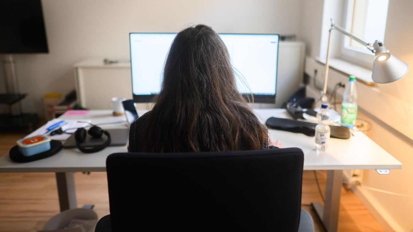 Frau vor Computer (Symbolbild)