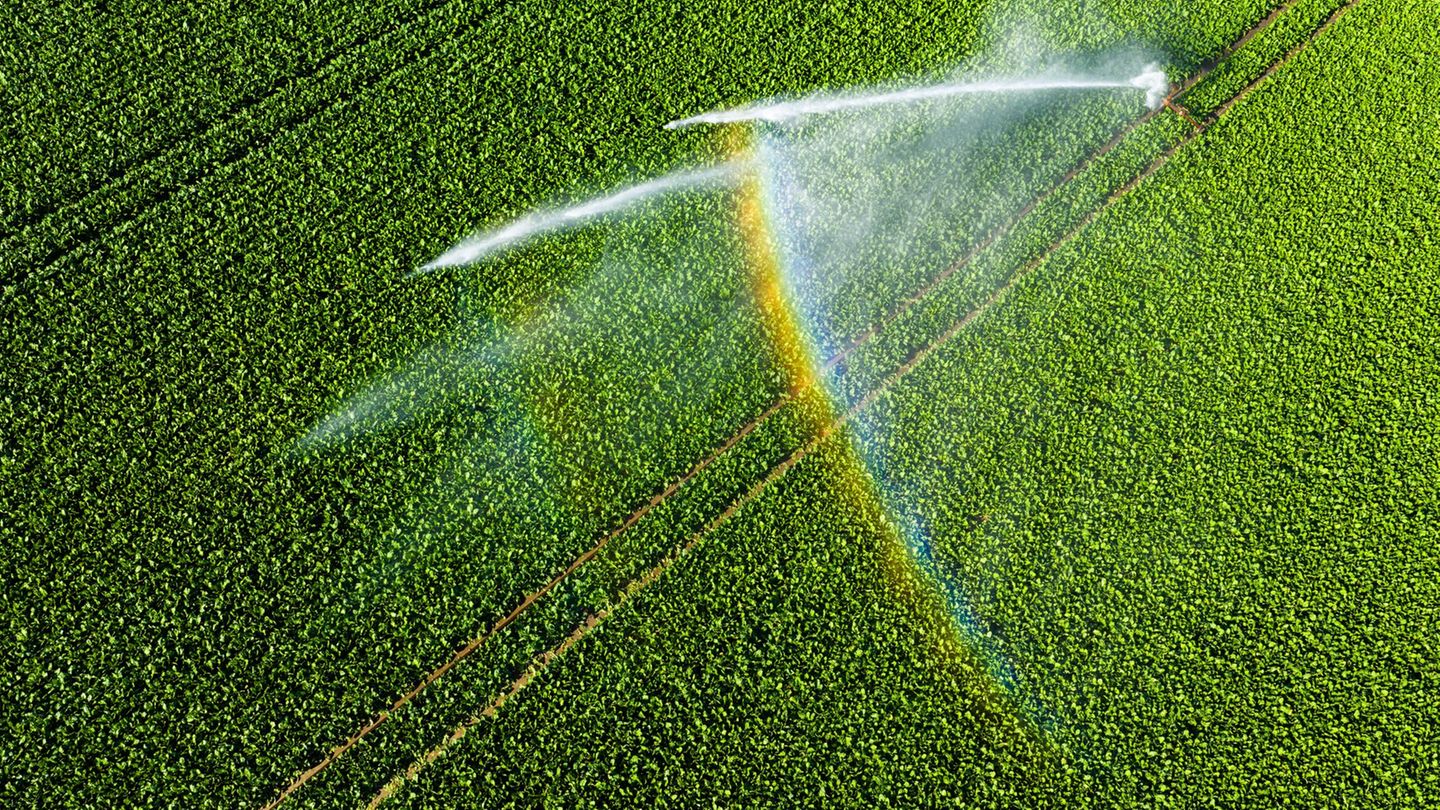 Agriculture: Farmers react to dryness: more irrigation and soy