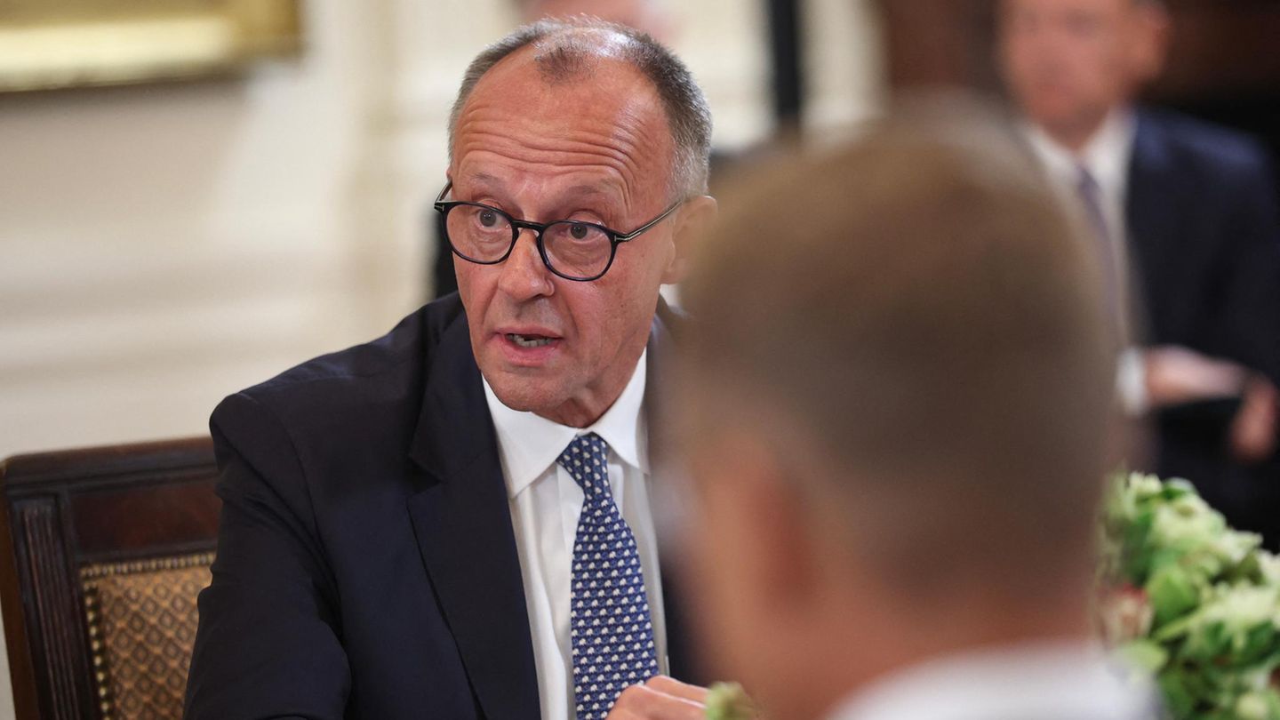 Friedrich Merz and Ukraine: A man at the right moment