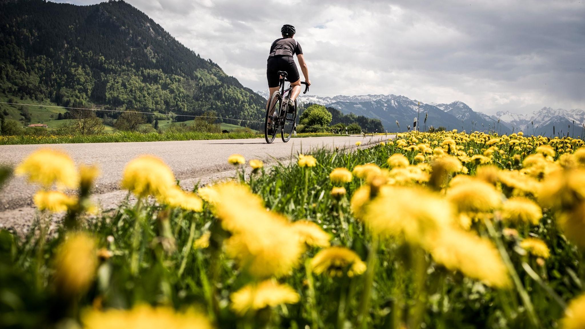 Leidenschaft: Radsport