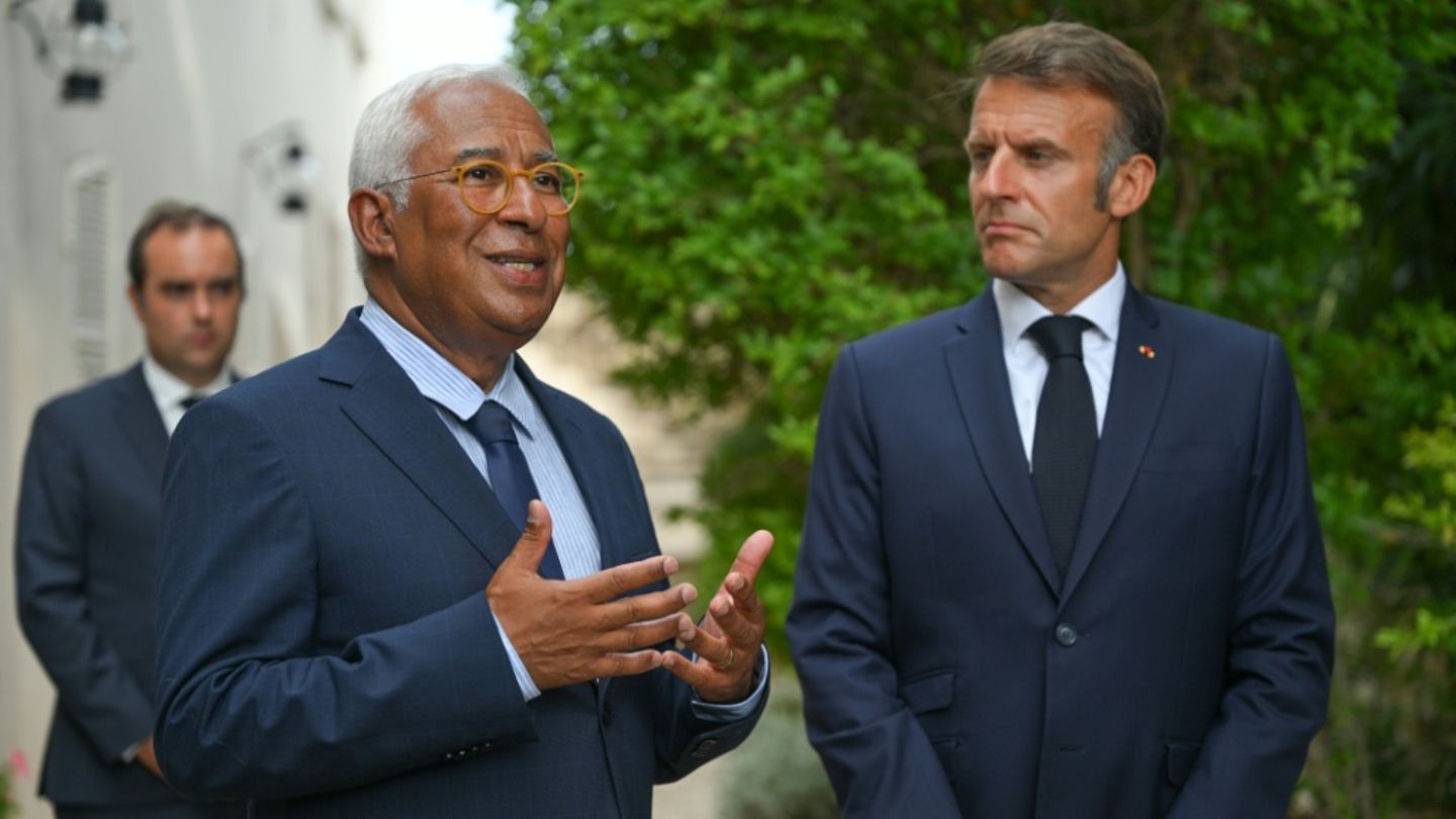 Costa (l.) Mitte August in Südfrankreich