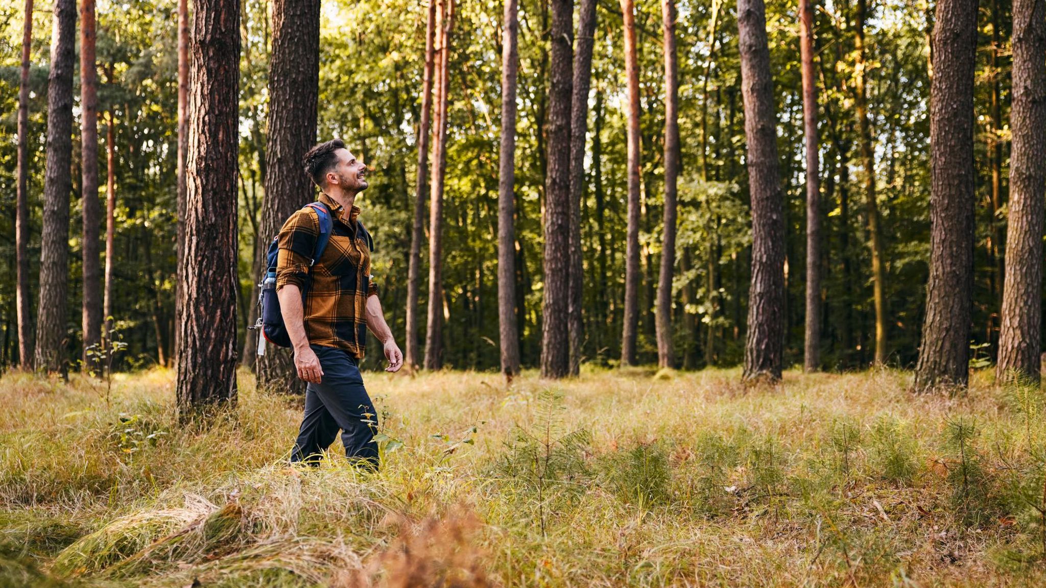 Mann beim Wandern im Wald
