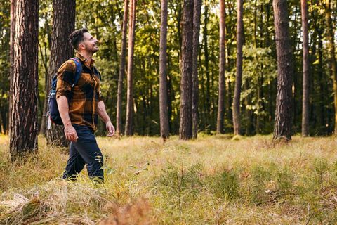 Mann beim Wandern im Wald