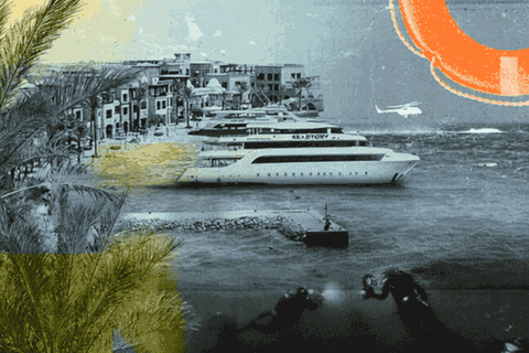 Die Sea Story in einer Animation
