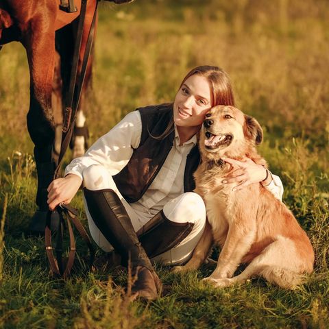 Tierbesitzer wollen das Beste für ihre Vierbeiner