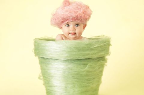 Ihre Fotos von Babys in Blumentöpfen machten Anne Geddes weltberühmt