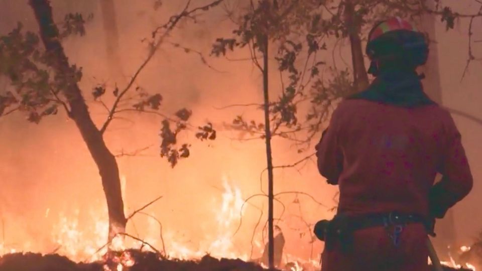 Ein Feuerwehrmann steht im Wald vor einem Meer aus Flammen.