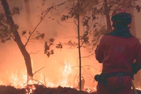 Ein Feuerwehrmann steht im Wald vor einem Meer aus Flammen.