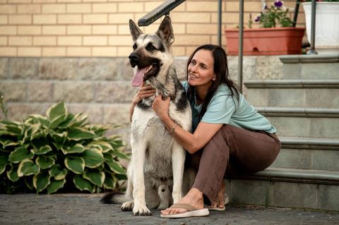 Was sind die besten Krankenversicherungen für Hunde?