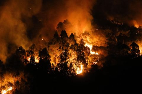 Flammen des Waldbrandes von Quiroga in Spanien