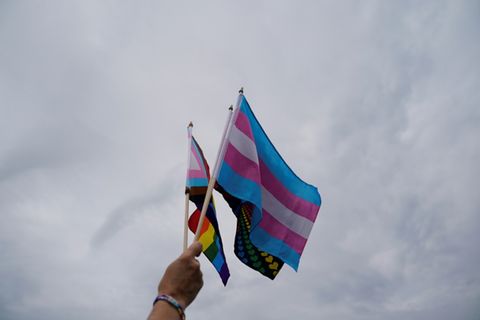 Flaggen der LGBTQ-Bewegung