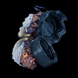 Ein Papierboot hält sich am Deckel einer Plastikflasche fest