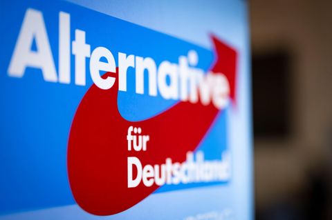 Der Verfassungsschutz wirft der AfD verfassungsfeindliche Bestrebungen vor