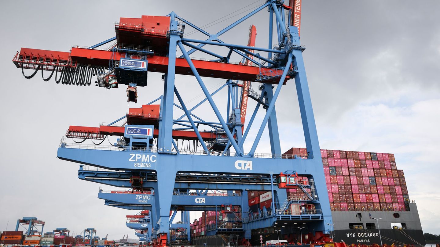 German economy shrunk more than expected