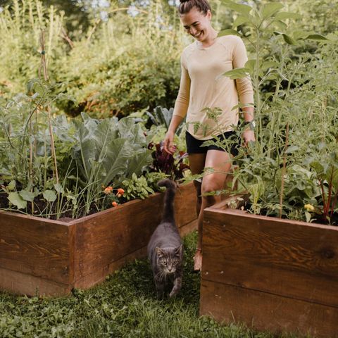 Frau im Garten zwischen ihren Hochbeeten