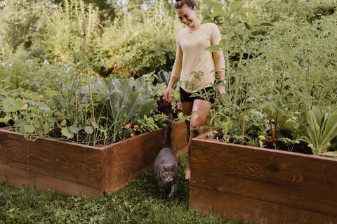 Frau im Garten zwischen ihren Hochbeeten