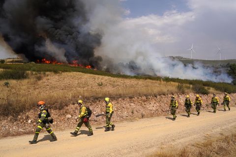 Feuerwehrleute bekämpfen einen Waldbrand