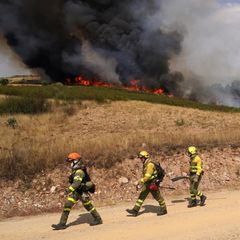 Feuerwehrleute bekämpfen einen Waldbrand