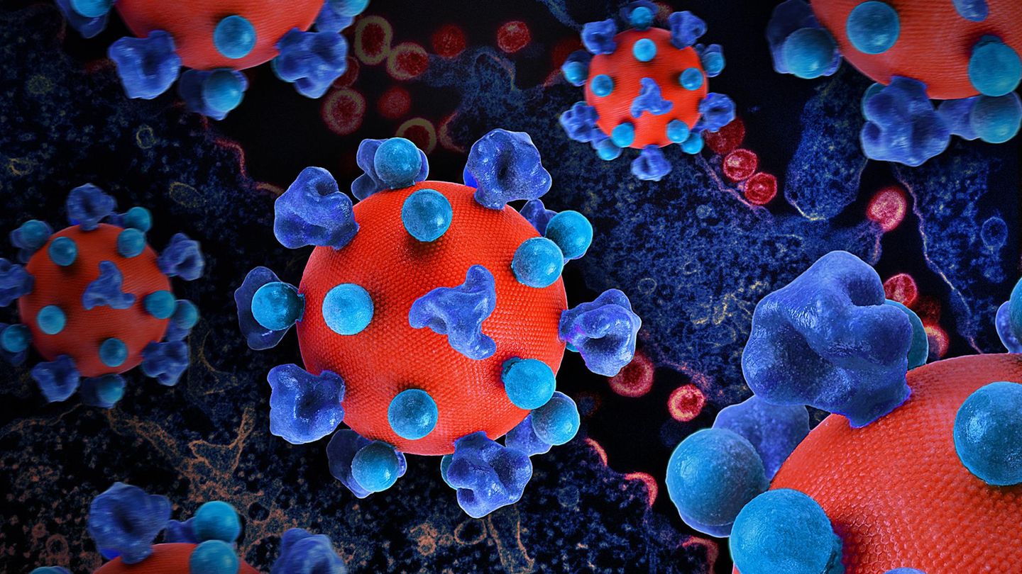 Is the HIV vaccination coming? A new study gently gives hope