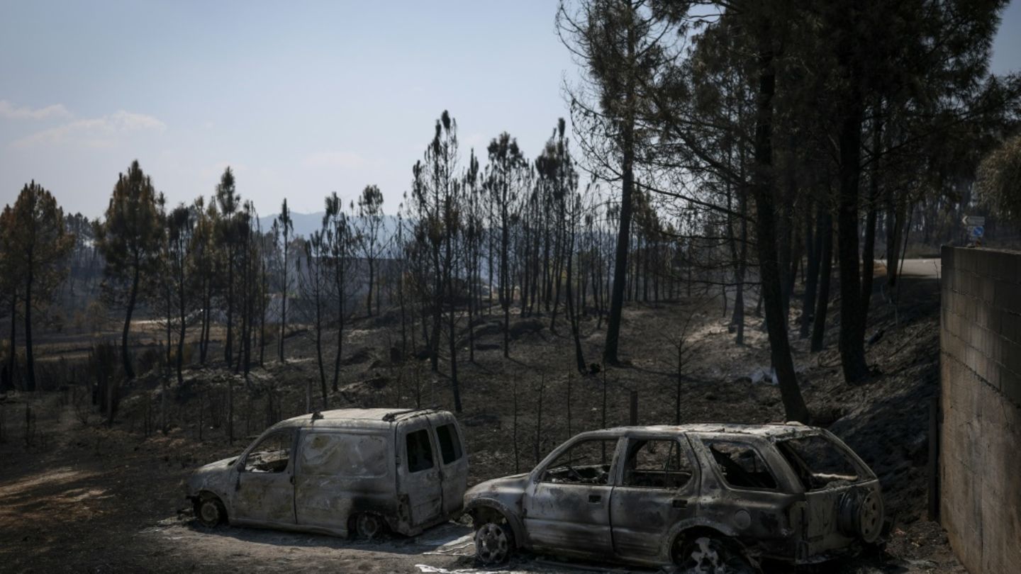 Ausgebrannte Autos nach einem Waldbrand in Portugal