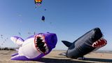 Long Beach, USA. Ob diese beiden Luftdrachen im Hai-Format beim "Washington State International Kite Festival" abgestürzt sind, ist nicht überliefert. Das immer in der dritten Augustwoche stattfindende Event lockt jedes Jahr Drachenflieger aus aller Welt an, die die Besucher mit ihren Choreografien oder einfach nur aufgrund der farbenprächtigen Flieger noch bis Sonntag begeistern.